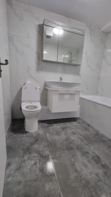 Brand New Flat Close To Turnpike Lane Tube Station Londyn Zewnętrze zdjęcie
