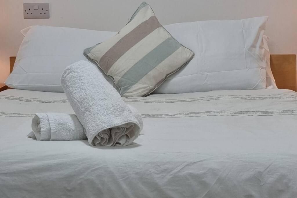 Brand New Flat Close To Turnpike Lane Tube Station Londyn Zewnętrze zdjęcie